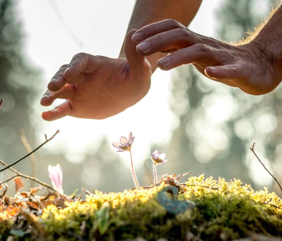 Biodiversité La Madrague